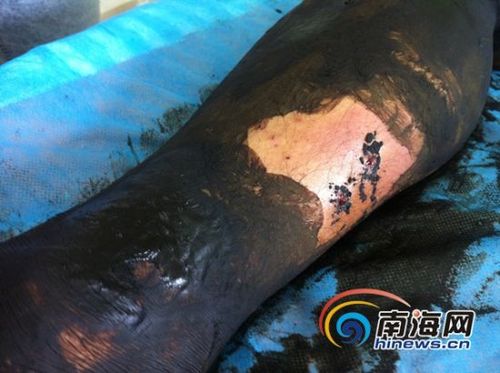 今晚开奖结果号码和游客三亚被蛇咬身亡与三亚被蛇咬了