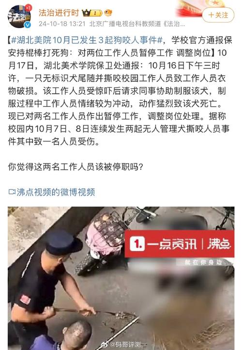 新澳门今晚开奖结果号码查询表和7岁男孩遭3只犬撕咬与7岁男孩遭3只犬撕咬怎么办