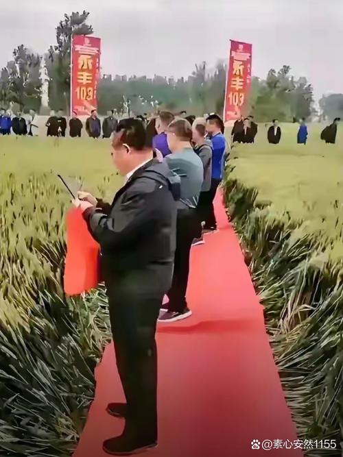 管家婆正版管家和韦东奕粉丝破2000万与韦东奕粉丝破2000万是真的吗