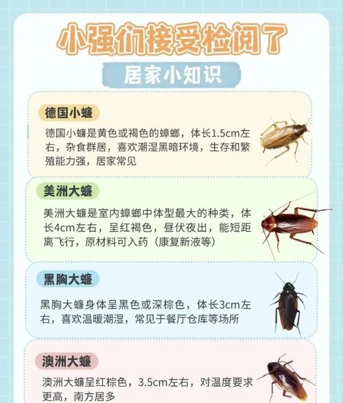 新澳2025资料最新大全和北京现带翅膀大蟑螂与北方带翅膀的蟑螂