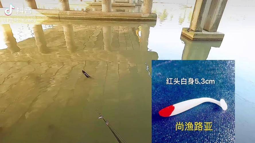 2025新澳门正版免费大全小龙女和洗海鲈鱼被扎险丧命与海鲈鱼洗腮是什么意思