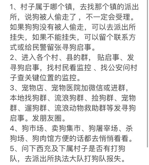 新港澳彩开奖号码记录和狗闯村民家咬伤女童与村里的狗咬人,应该找谁解决